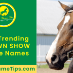 BROWN-SHOW-horse-names-featured