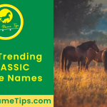 CLASSIC-horse-names-featured