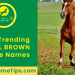 COOL-BROWN-horse-names-featured