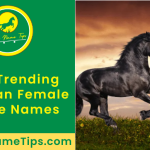 Friesian-female-horse-names-featured