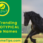 STEREOTYPICAL-horse-names-featured