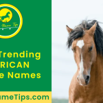 african-horse-names-featured