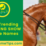 amazing-show-horse-names-featured