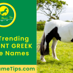 ancient-greek-horse-names-featured