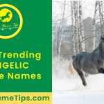 angelic-horse-names-featured