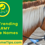 army-horse-names-featured