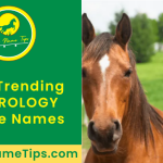 astrology-horse-names-featured