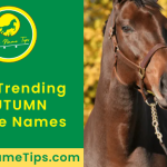 autumn-horse-names-featured