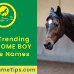 awesome-boy-horse-names-featured