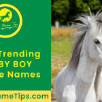 baby-boy-horse-names-featured