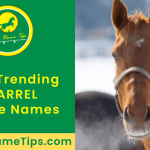 barrel-horse-names-featured