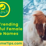 beautiful-female-horse-names-featured