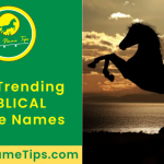 biblical-horse-names-featured