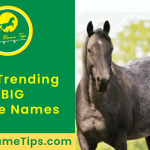 big-horse-names-featured