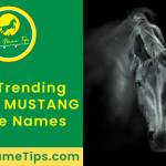 black-mustang-horse-names-featured