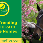 black-race-horse-names-featured