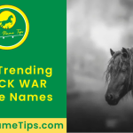 black-war-horse-name-featured