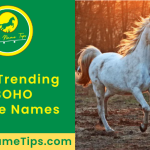 boho-horse-names-featured