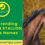 brown-stallion-horse-names-featured