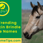 buckskin-brindle-horse-names-featured