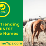 chinese-horse-names-featured