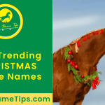 christmas-horse-names-featured