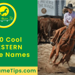 cool-western-horse-names-featured