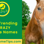 crazy-horse-names-featured