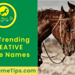 creative-horse-names