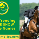 cute-show-horse-names-featured