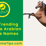 female-arabian-horse-names-featured