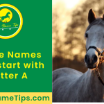 horse-names-starting-with-a-featured