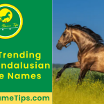 male-andalusian-horse-names-featured