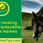 male-clydesdale-horse-names-featured