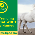 mythical-white-horse-names-featured