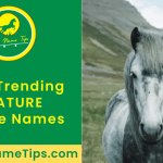 nature-horse-names-featured