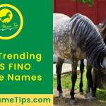 pas-fino-horse-names-featured