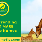 red-mare-horse-names-featured