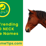 red-neck-horse-names-featured