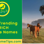 rich-horse-names-featured