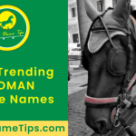 roman-horse-names-featured