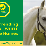 royal-white-horse-names-featured