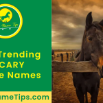 scary-horse-names-featured