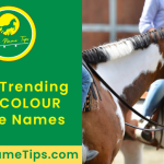 tricolour-horse-names-featured