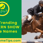 western-show-horse-names-featured