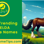 zelda-horse-names-featured