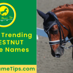 CHESTNUT-horse-names-featured