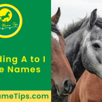 a-to-i-horse-names-featured