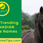 canadian-horse-names-featured