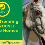 carousel-horse-names-featured